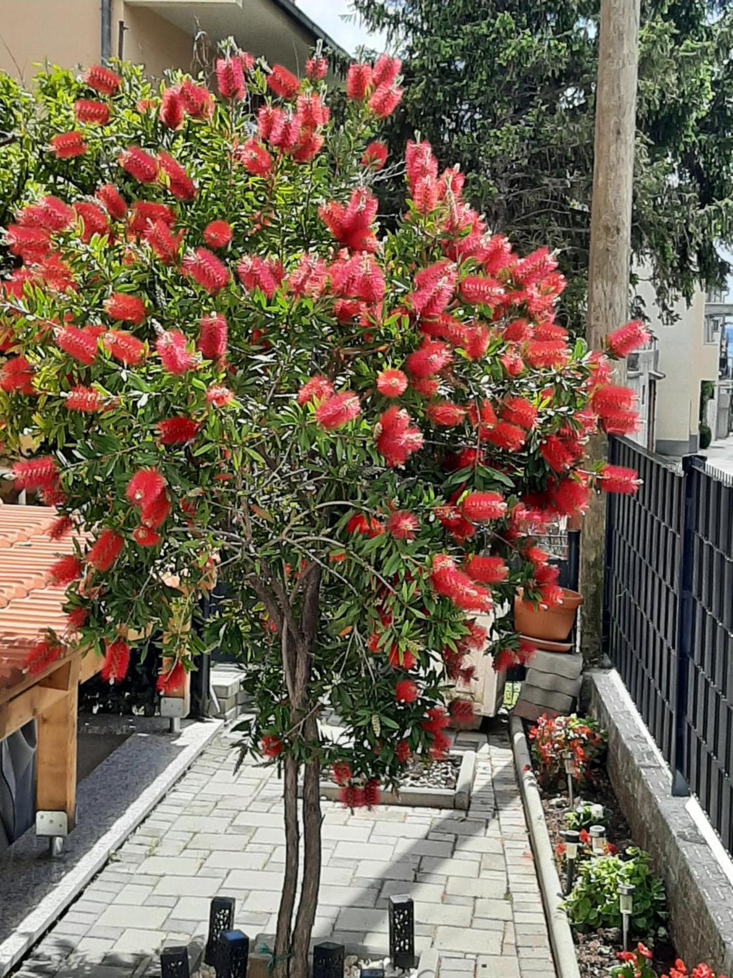 Apartment Radalj Kaštela Zewnętrze zdjęcie